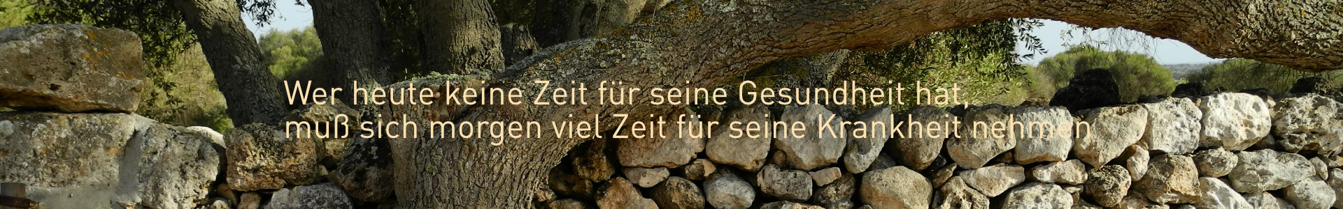  mauer_olivenbaum_spruch_banner.jpg